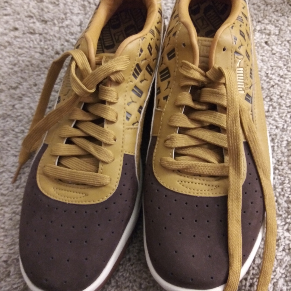 Puma GV